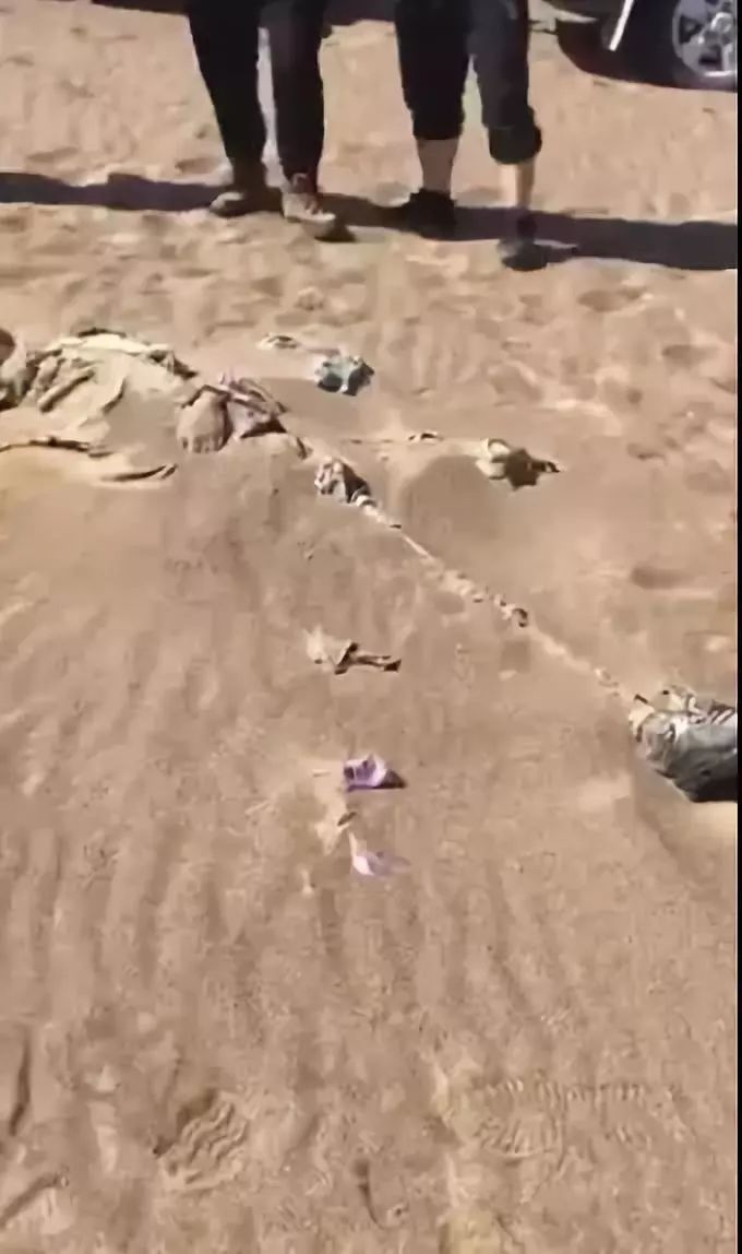 兰州人朋友圈都在转驴友在沙漠里发现干尸是真的