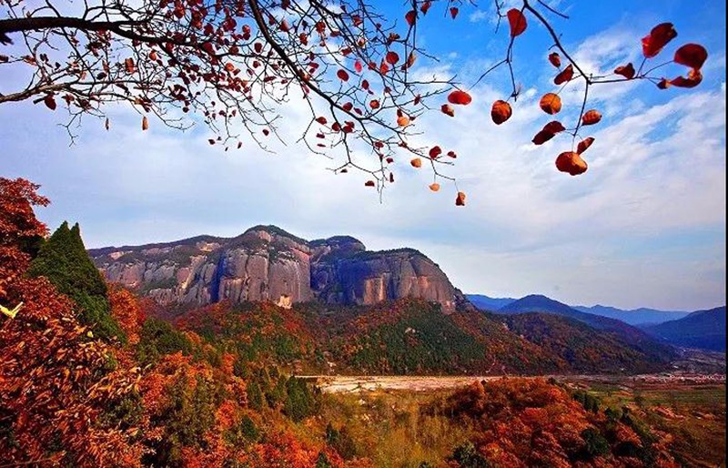 看紅葉何必去北京香山陝西銅川照金這片紅葉美如畫