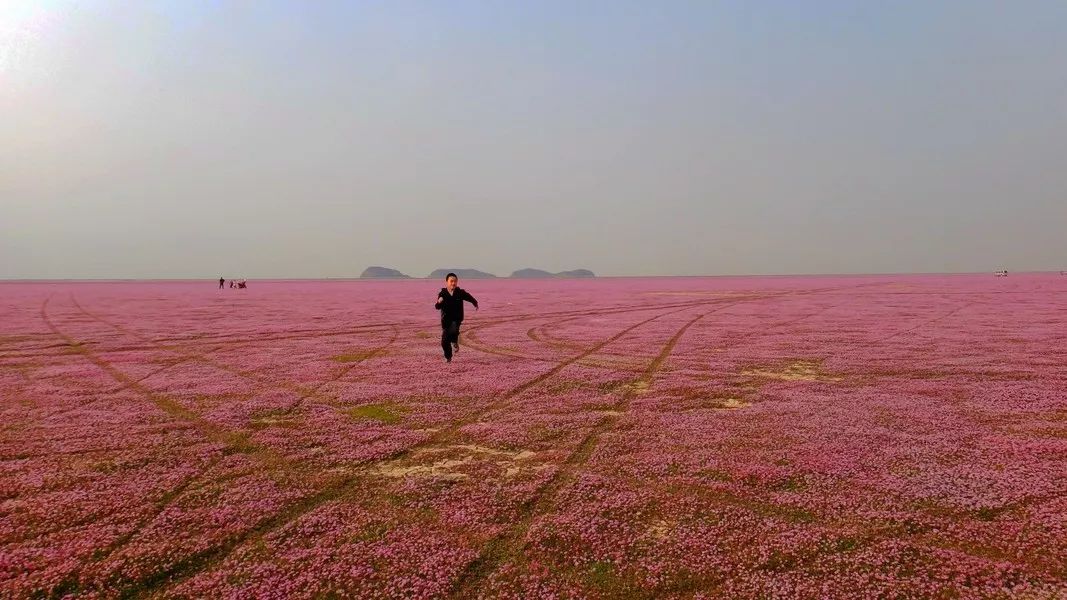 都昌花海图片