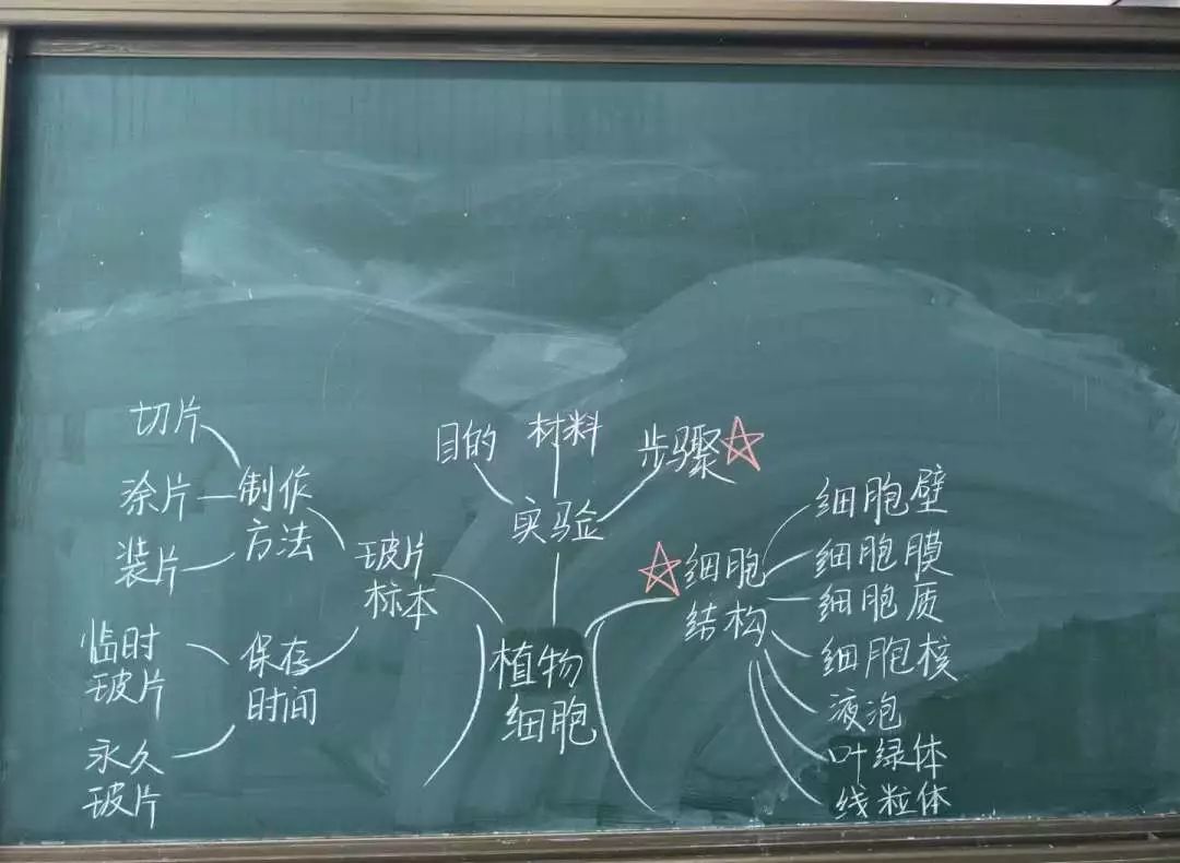 种子植物板书设计图片