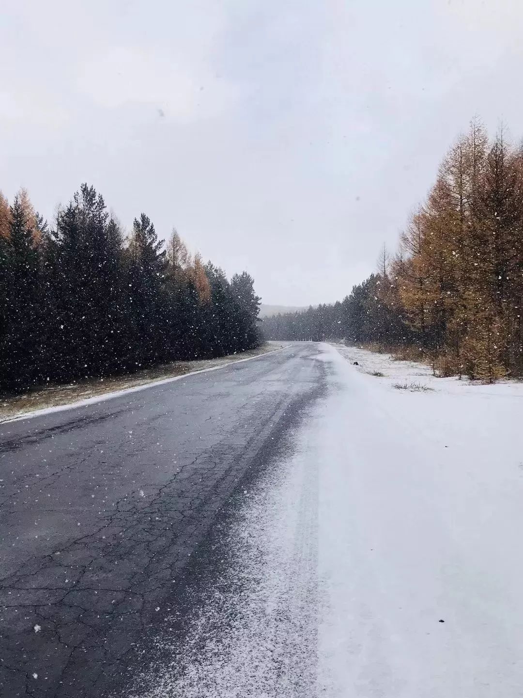 千真萬確北京下雪了今冬提前半月供暖試水家中留人