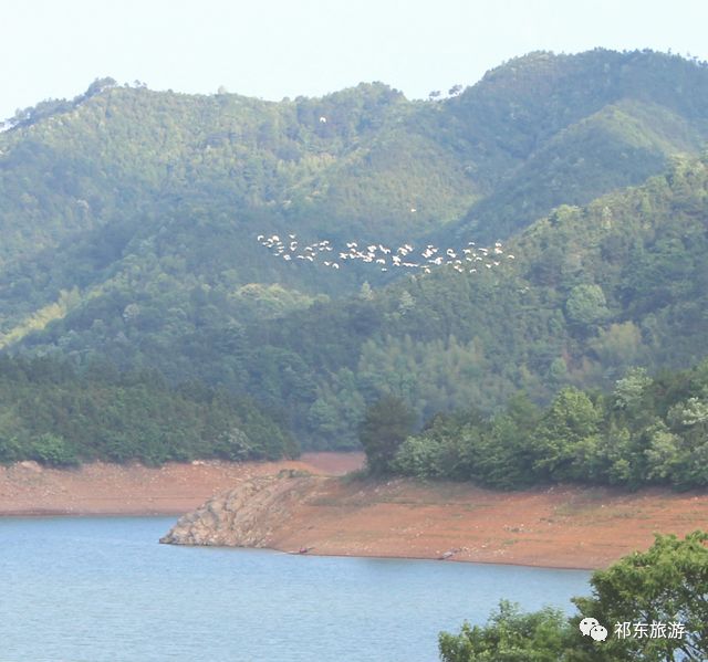 步云桥湿地公园规划图片