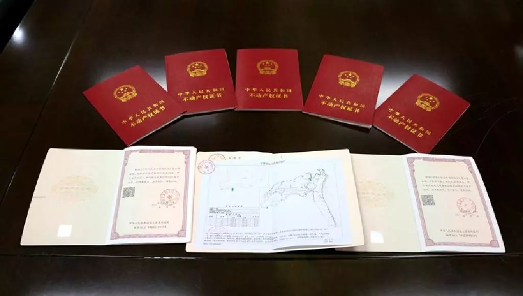 5平方米农用地的《中华人民共和国不动产权证书》,全县共有1916