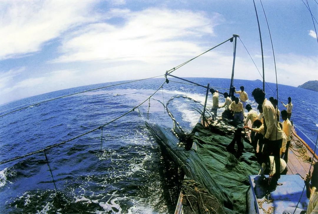 是中国在海外建设的单体规模最大的综合性远洋渔业基地