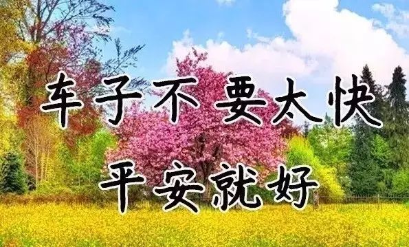 早上好,送你26个字! 不见此文,遗憾终身!