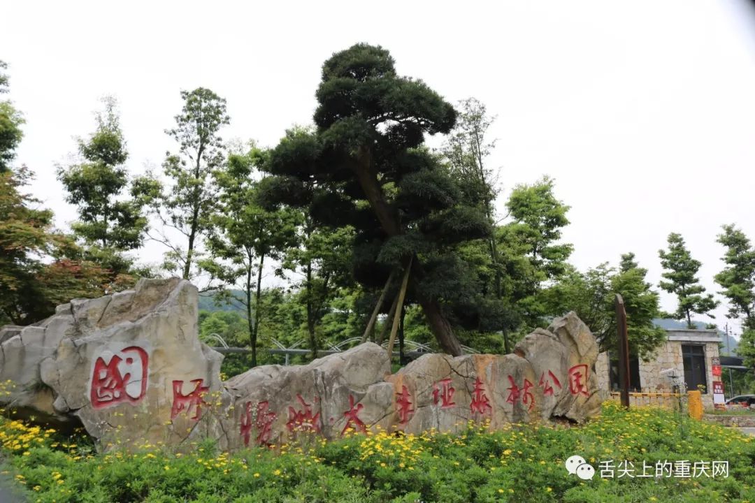 歌乐山太寺垭森林公园图片