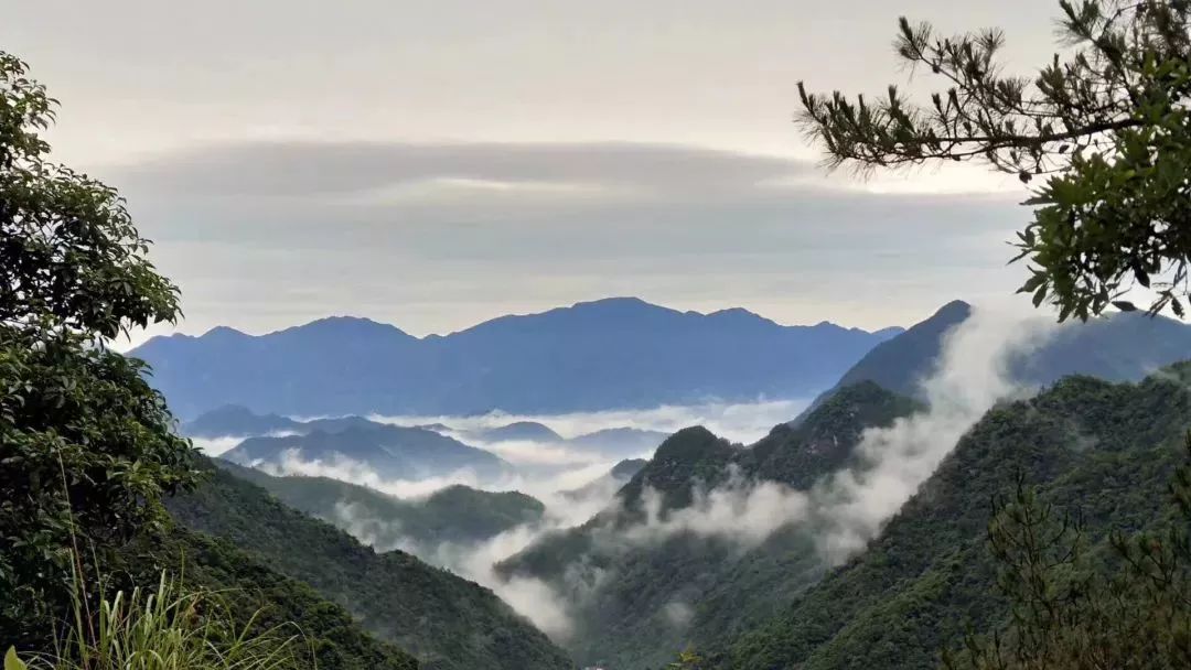 圖為大明山松林雲海8龍塘山古道9石長城清涼峰山道▲圖為石長城村