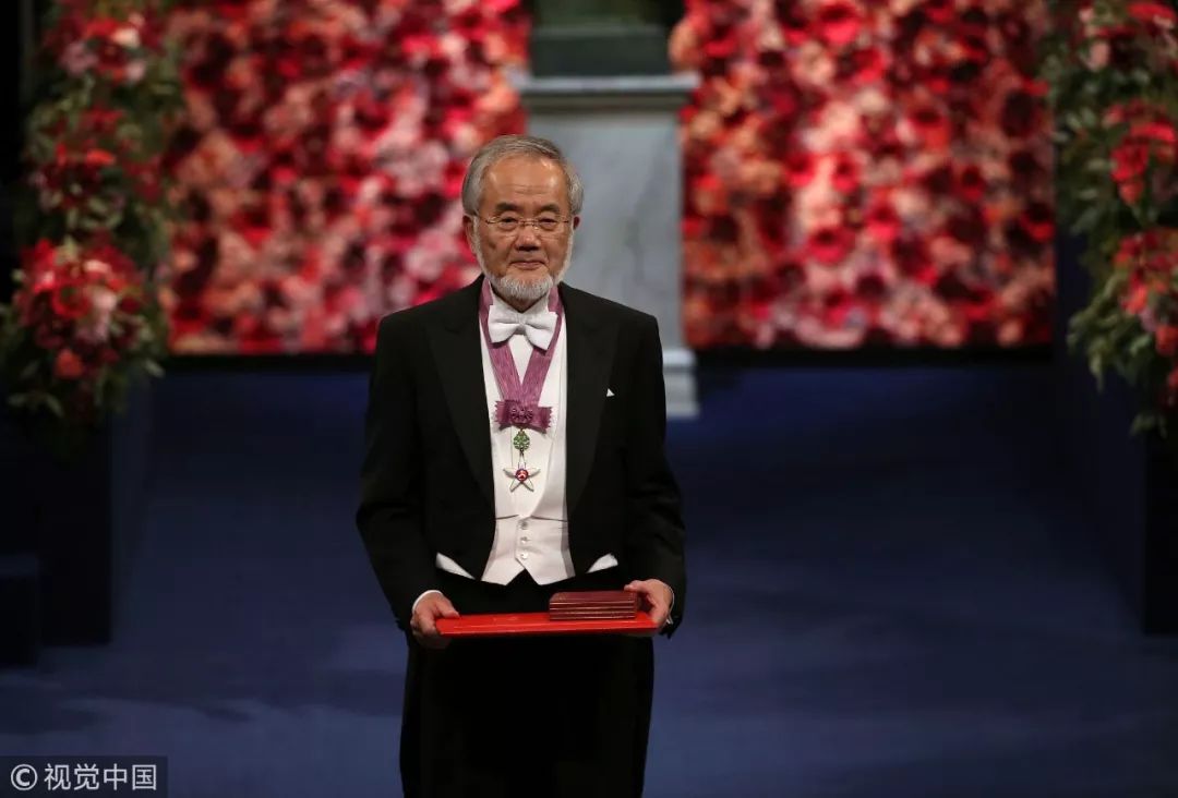 日本真正的可怕之处:18年18人拿诺贝尔奖,却高兴不起来