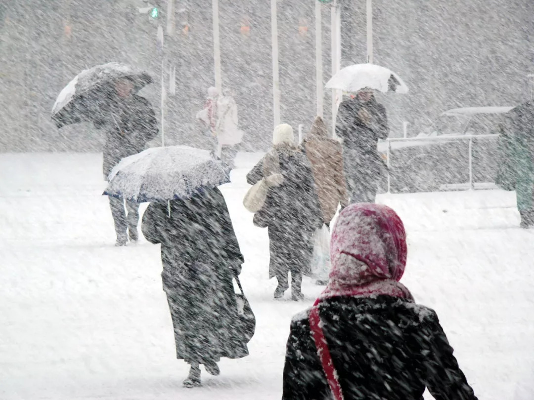 冬天狂风暴雪图片图片