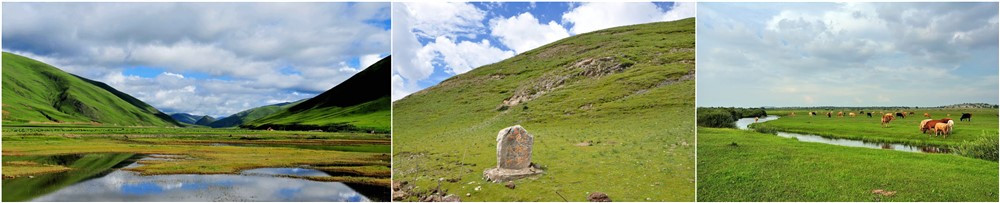 从稻城出来,驱车下了波瓦山,就是风景迷人的赤土河谷.