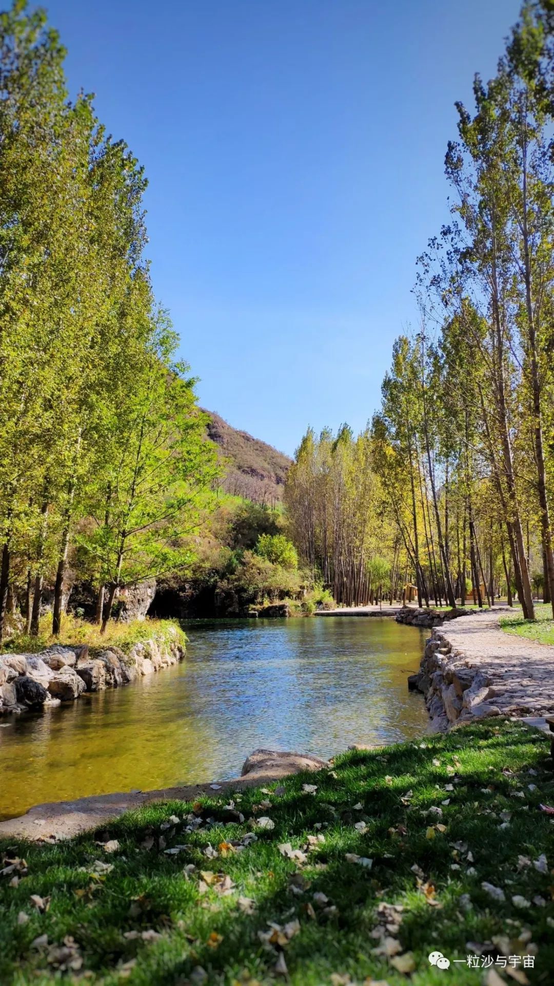 "满山秋枫,更听红妆舞-秋游享水溪度假村_旅游