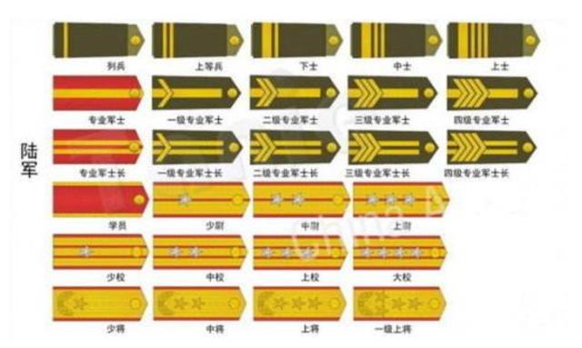 宝林军衔图片