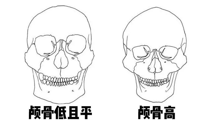 魏璎珞19岁旧照曝光没想到她动的最明显的部位竟是这里