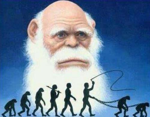 发现达尔文进化论的秘密