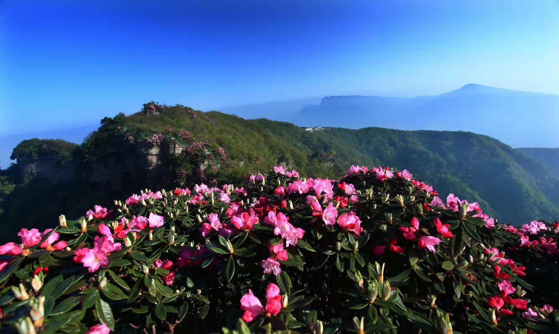 光雾山七女峰图片