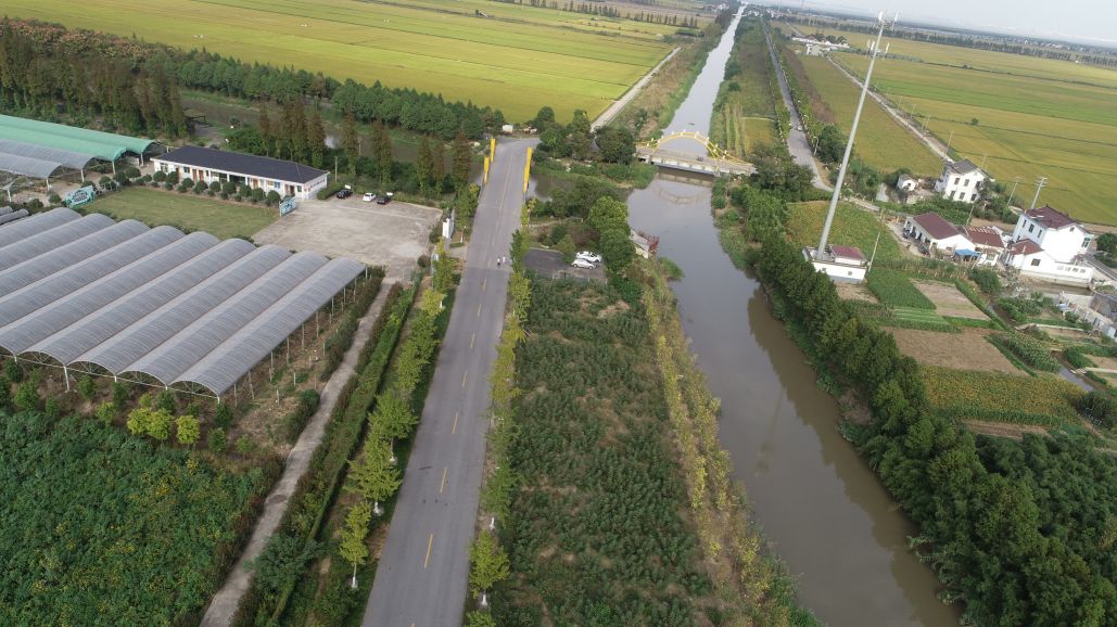 常阴沙打造河长制样本河道提升水生态环境质量