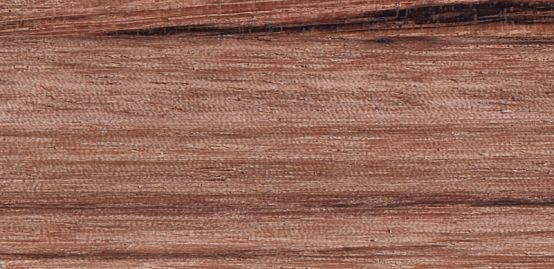 非洲红斑马木材简介图片