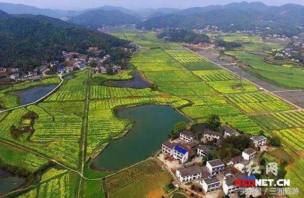 桐木村位于长沙市岳麓区莲花镇西南部,该村地处丘陵地带,以低山丘陵为