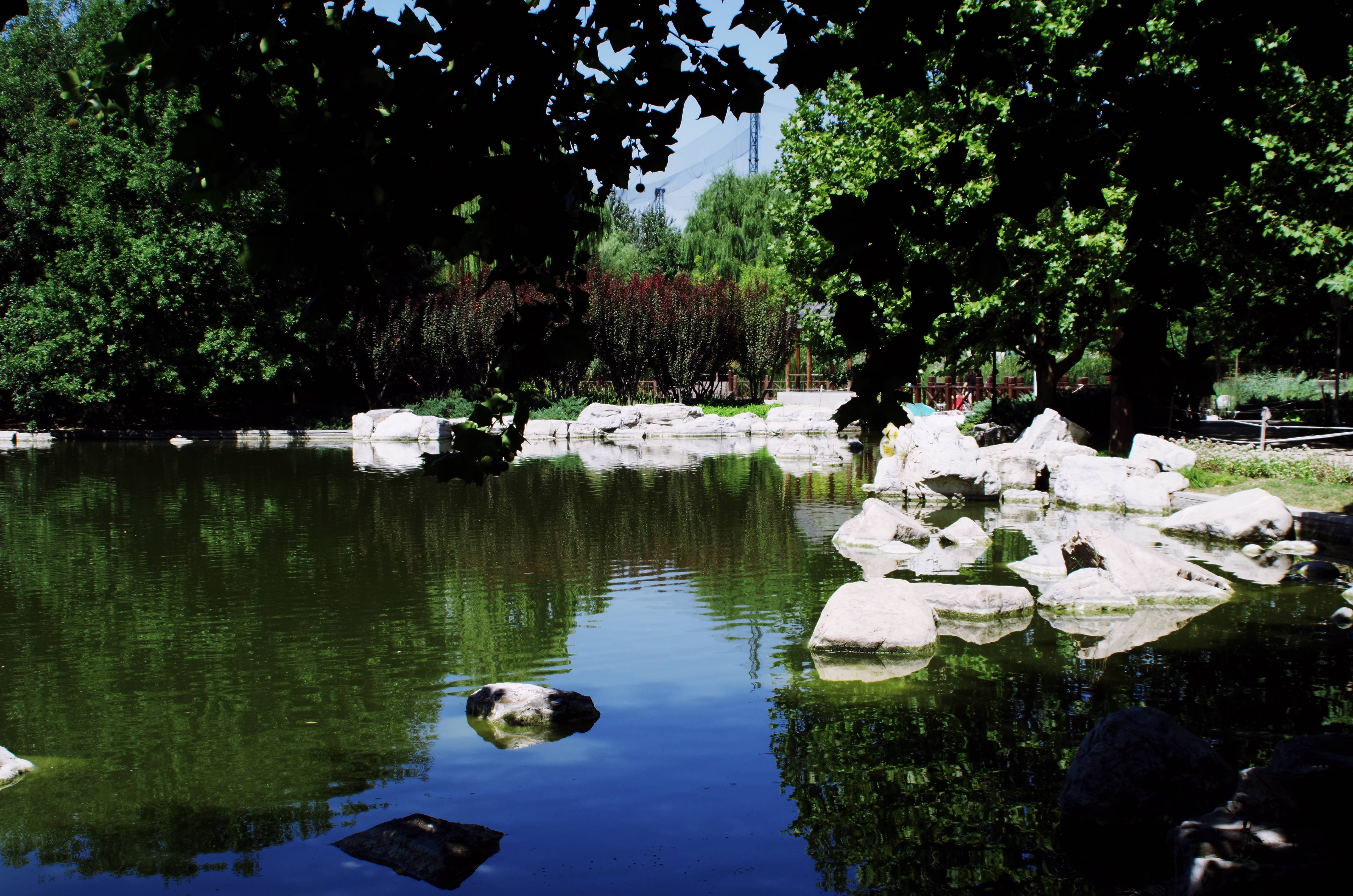 北京北小河公园图片图片