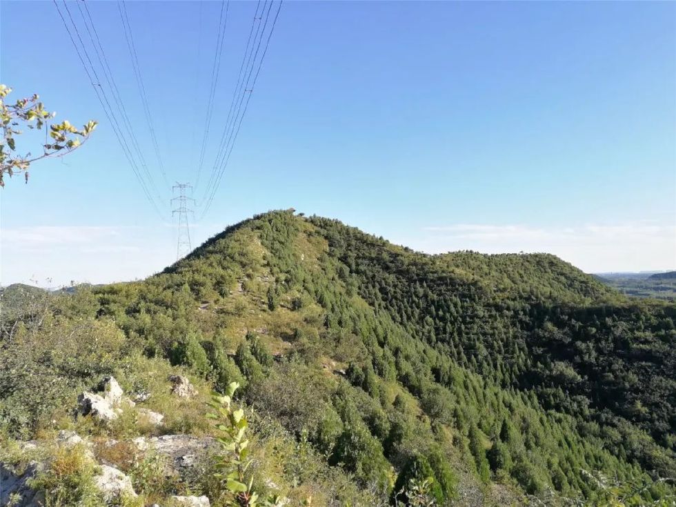 自驾顺义免费的国家级郊野公园爬山赏花摘酸枣