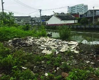 2苍南县瓯江口灵昆街道九村河河边家禽养殖(镇级河长为灵昆街道党工委