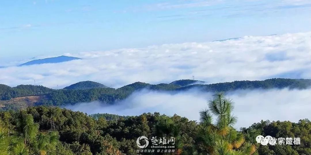 好消息楚雄市紫溪山風景區門票降價了價格是