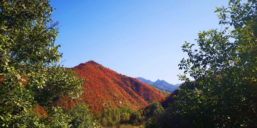 看鏡頭下的寺河山