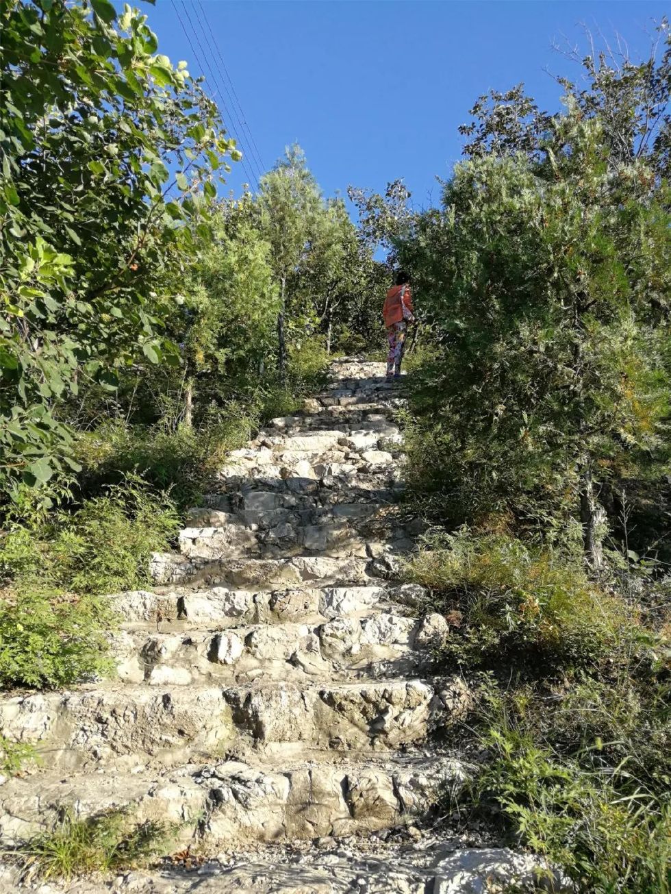 自驾顺义免费的国家级郊野公园爬山赏花摘酸枣