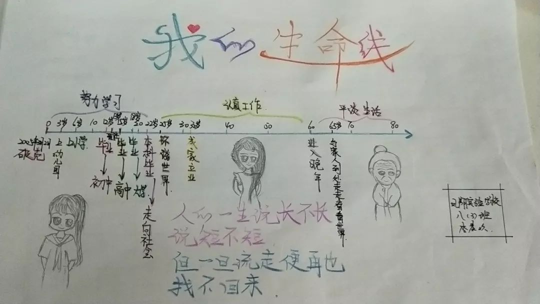 生命线怎么画作业图片