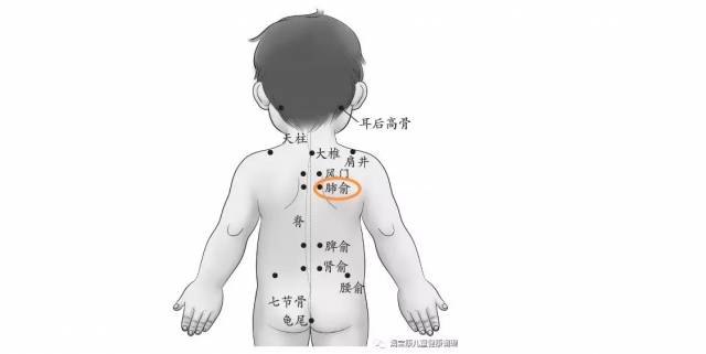 宝宝肺俞准确位置图图片