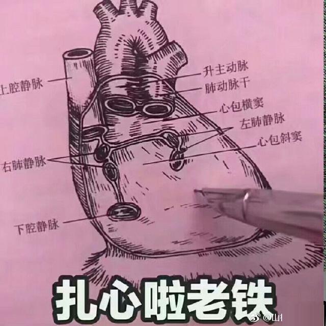 医学生斗图表情包图片