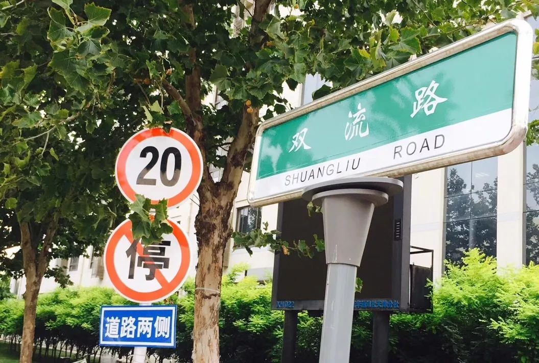 虹桥路路牌图片