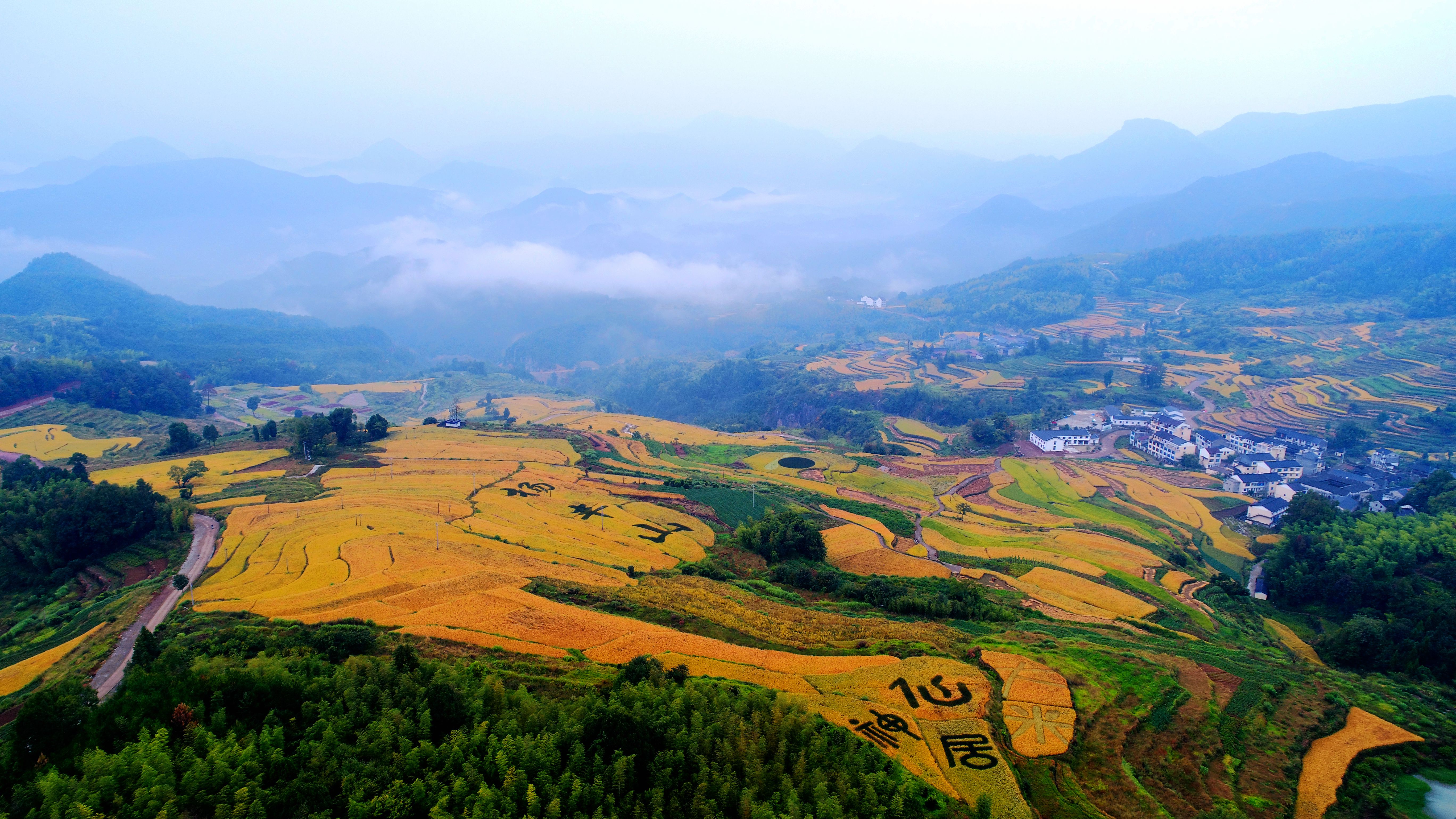 台州仙居山图片