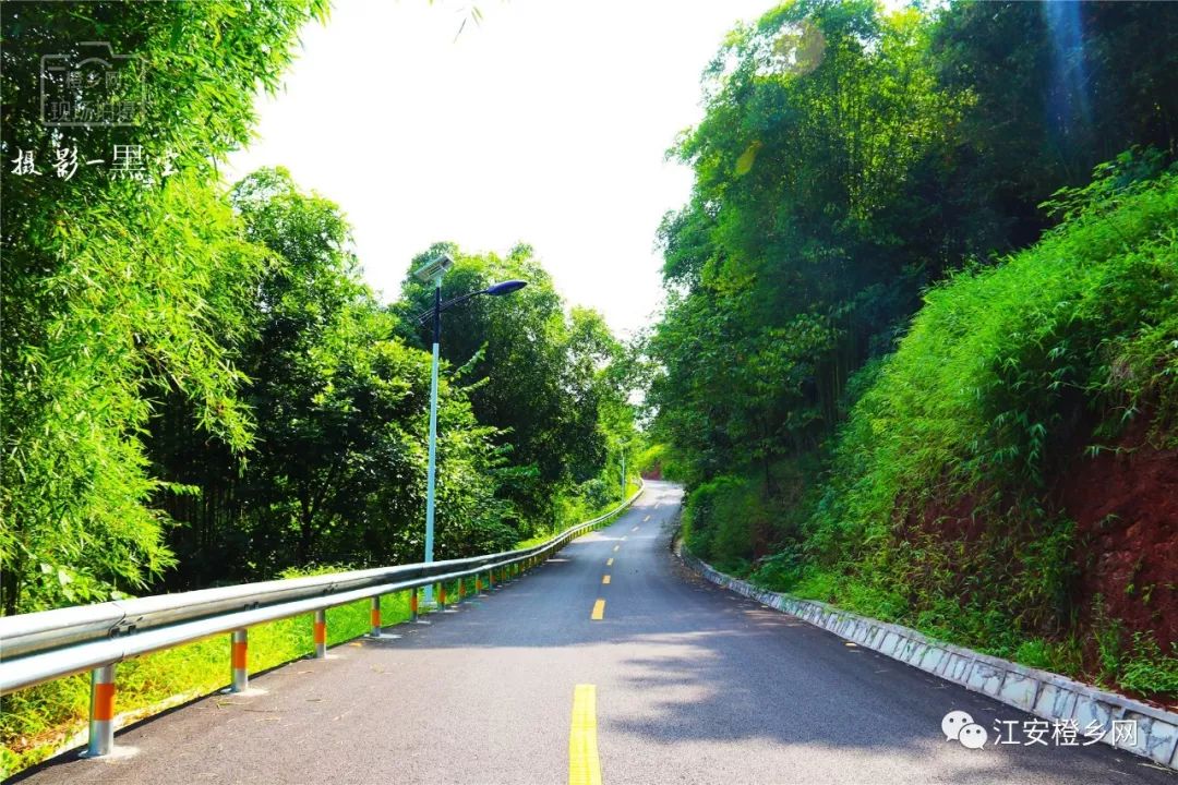 江安县迎古公路勘测图片