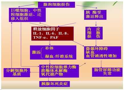 規培課堂七十二急性胰腺炎