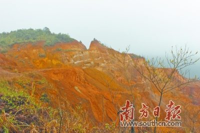 從濯濯童山到草木蔥蘢_大寶山