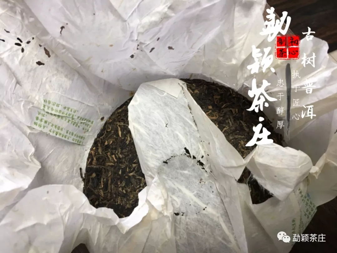 勐颖普洱惊呆了我买的普洱茶里竟然有虫子