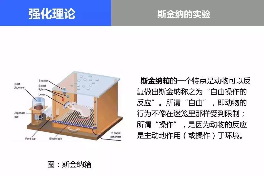 这个设计很类似斯金纳箱,也就是大部分猜概率玩法的理论基础(这里不