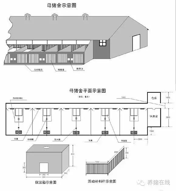 母猪养猪场设计图20头图片