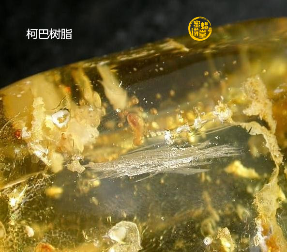 琥珀裡面有氣泡正常嗎什麼樣的氣泡才是真貨