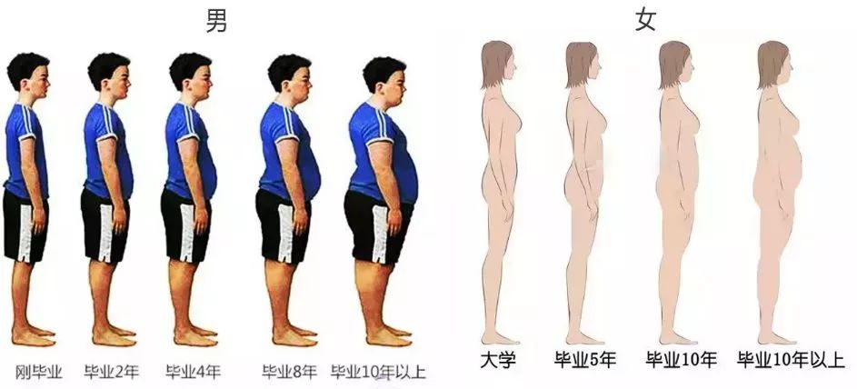 变胖变化图图片