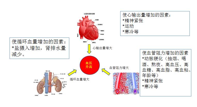 一图看懂高血压