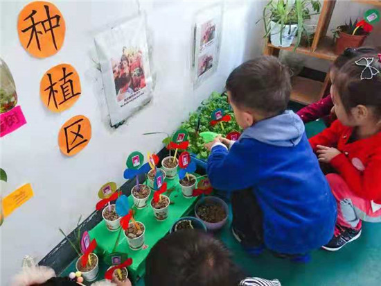 “我与绿色共成长”__――盱眙县黄花塘镇中心幼儿园植物角观赏活动 图1