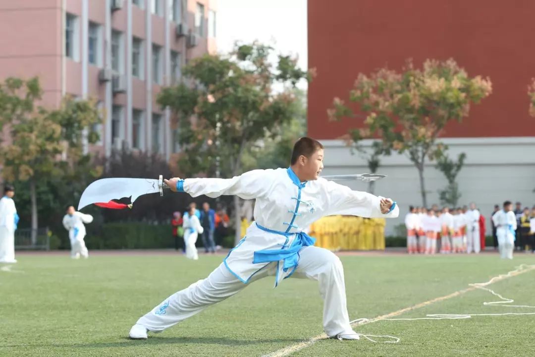 旭日東昇,八極拳,武術基本功楊莊小學:武術操,八極架學生太極劍等育賢