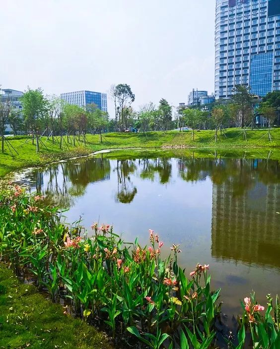 惠民光明又有新公園可以玩耍了兒童活動區超大廣場景觀湖看不完