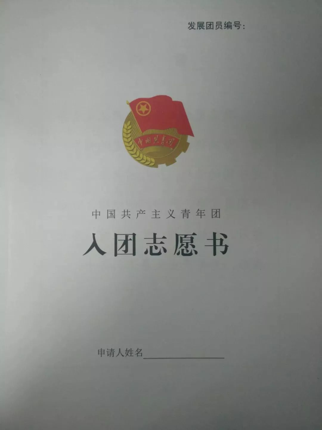 2014年入团志愿书图片图片