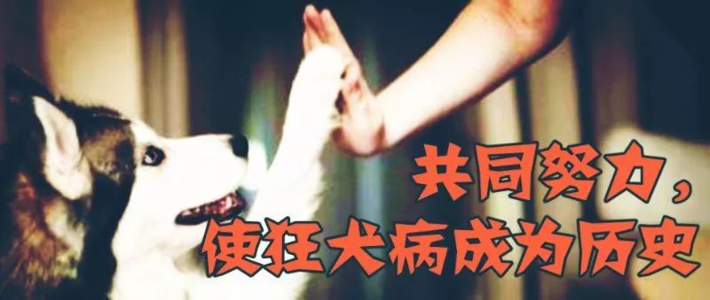 既然注射了疫苗,为什么还会狂犬病发作?防治狂犬病,有万全之策吗?