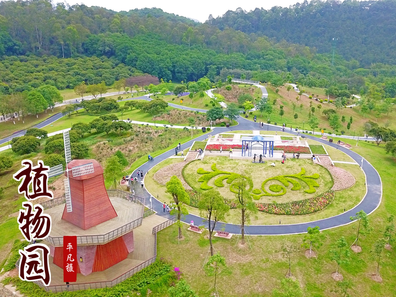 东莞植物园全景图图片