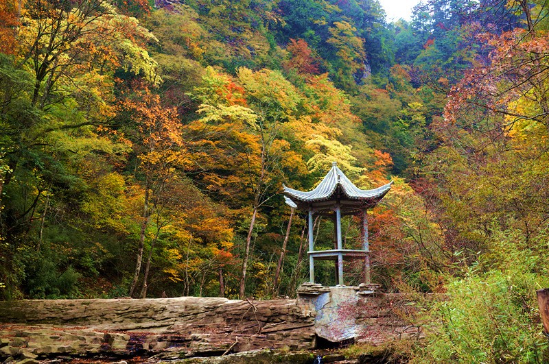 陝西旅遊攻略紅葉到處有漢中黎坪有何不同呢