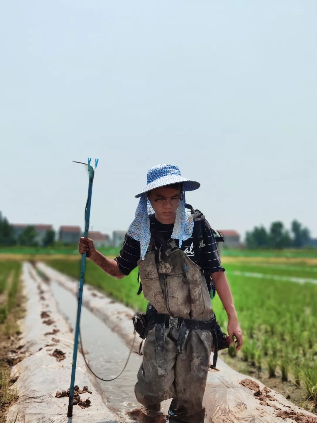 前后二十多人参与该项研究,很多学生在田间一待就是两三个月史良胜对